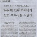 인싸피플