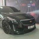 에스(S)게러지 이미지