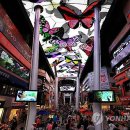 동구-21(대전천 이미지