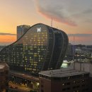 대우제약(주) | 호주워홀 100일차 솔직 후기 : 불안에서 일상으로 🇦🇺