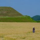 호로고루 화장실 이미지