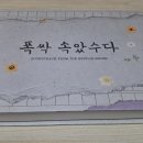 &lt;Netflix&gt;드라마 폭싹 속았수다 앨범 구매 후기♬♬♬♬