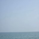 지에스25 울산남목중앙 | 대구 근교 차박 캠프닉 캠핑 바닷가 관성솔밭해변 후기