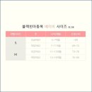 미뇽:베베 이미지