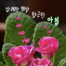 카타나 펜션 이미지