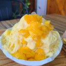 맛집 #4] 예쁜 스무디볼 디저트 카페_샤카 SHAKA, 망고빙수_데일리 스위트 Daily Sweet 솔직후기 #내돈내산