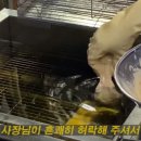 장미맨숀 이미지