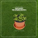 대창수세미농원