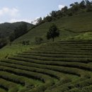 보성택시앞 이미지