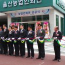 한농연울산화훼매장