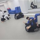 화랑체육도장 | 성장과 자신감이 함께하는 MMAStroy금촌 화랑합기도 주짓수, 이곳에서 새로운 시작을 경험하다