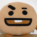 슈키 이미지