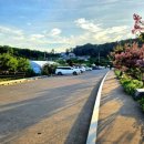 유등연지 둘레길 이미지