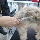 스테이 모량 이미지