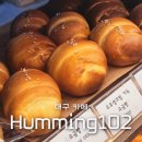 대구 중구 소금빵 맛집 남산동 카페 허밍102