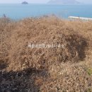 해안공인중개사사무소 이미지