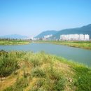 을숙도 생태공원 이미지