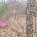 노아농장 이미지