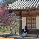 동해시-31 | 동해 삼화사 템플스테이 휴식형 1박 체험 후기 | 동해여행 동해일출