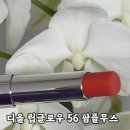008-교하-008 | 디올 립글로우 추천 신상 컬러립밤 56 팜플무스 자몽핑크