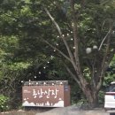 종남산장 | 익산 전주 근교 완주계곡 '종남산장' 테이블 예약. 토종닭백숙 후기, 메뉴, 주차 안내.