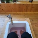 일영나들이 이미지