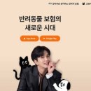 마이주주 이미지