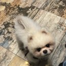다이노스호텔 이미지