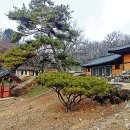 도피안사 - 1360 | 도피안사