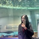 CU 영도동삼중앙점 | 부산 영도 국립해양박물관 아쿠아리움 주차 근처 맛집