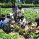 화계농장 이미지