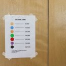 (주)세일글로발 | 가니송 🎀 - 2025 한남동 쇼룸 아카이브 세일 (12/6~7) 득템 후기