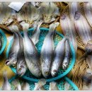 군서수산 이미지