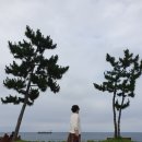 석정쌈밥 이미지