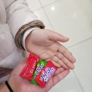 게으름뱅이의 타임머신