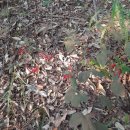 웅치언덕길 이미지