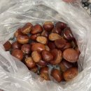 충주카누캠핑장 | 충주 카누 캠핑장 추석연휴 이틀 연박후기