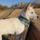 가을 여자~ 그리고... 쇼생크의 탈출을 꿈꾸는 그녀. 이미지