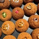 스펀슈가 이미지