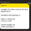 쁘띠아 이미지