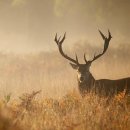 태영한의원 이미지