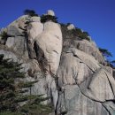 에덴모자 이미지