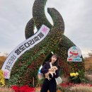 송죽동 주민행복쉼터 | 부산 축제, 영도 축제 / 2025년도 영도다리축제 다녀온 후기!