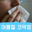 송도센트럴이비인후과의원 | 연수동 이비인후과 에어컨 켜면 코 막히고 콧물 흐를 때 여름철 코막힘 원인