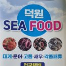 주야대게