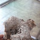 팔공산농산 이미지