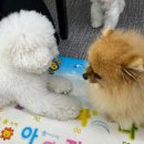 신림유치원 이미지