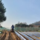 월현농장 이미지