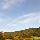 로얄포레CC | 충주 로얄포레CC 노캐디 야간 라운딩 후기 | 페어웨이·그린컨디션