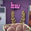 원찐빵 | 대부도 당일치기 여행 대부도포도찐빵 맛집 후기